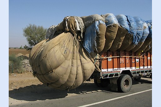 Viaggio in India 2008 - Jaipur